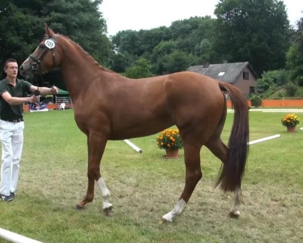 jumper Francorali (Rhinelander, 2010, from For Complete)