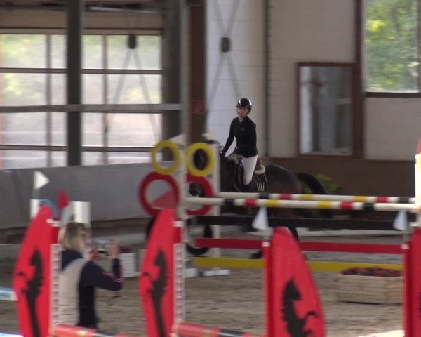 Reitturnier Langenfeld - Gut Langfort 2020