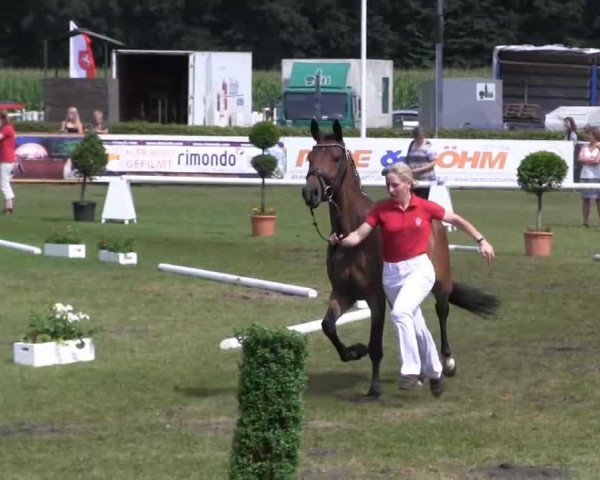 broodmare Donna (German Riding Pony, 2010, from Donnerwetter)