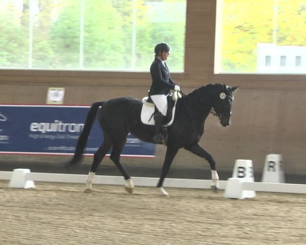 Reitturnier Gut Winkelacker/Obb. 2020