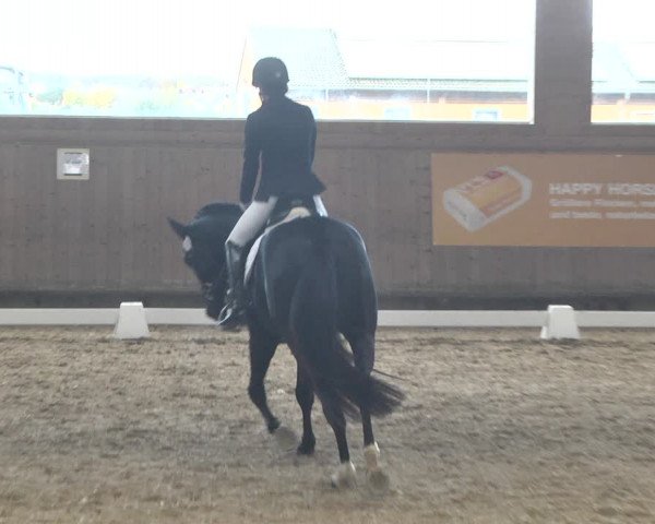 Reitturnier Gut Winkelacker/Obb. 2020