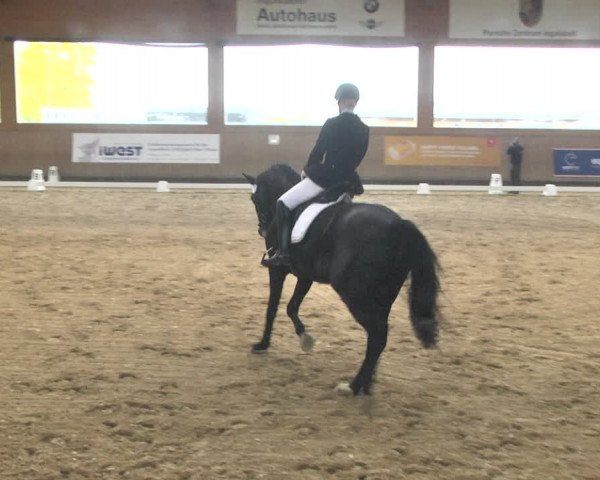 Reitturnier Gut Winkelacker/Obb. 2020