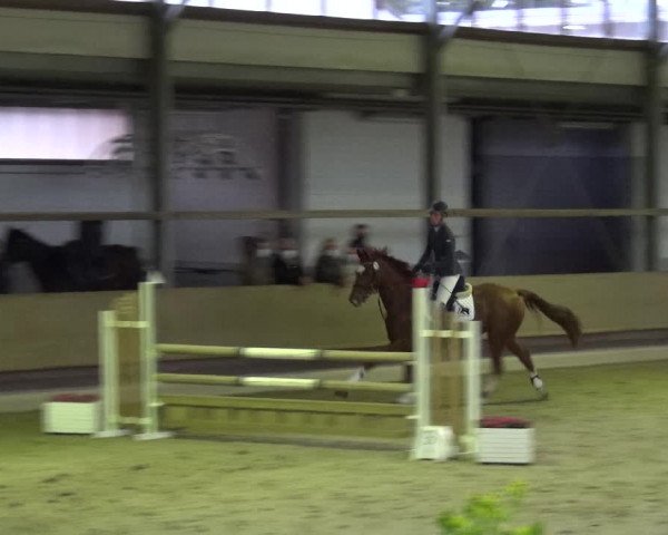 Reitturnier Langenfeld - Gut Langfort 2020
