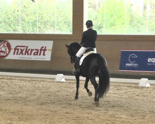 Reitturnier Gut Winkelacker/Obb. 2020