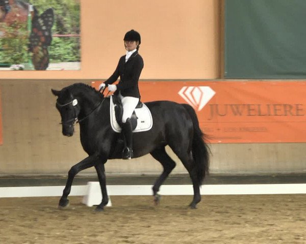 Reitturnier Gut Winkelacker/Obb. 2020