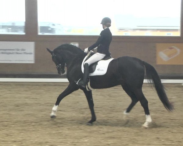 Reitturnier Gut Winkelacker/Obb. 2020