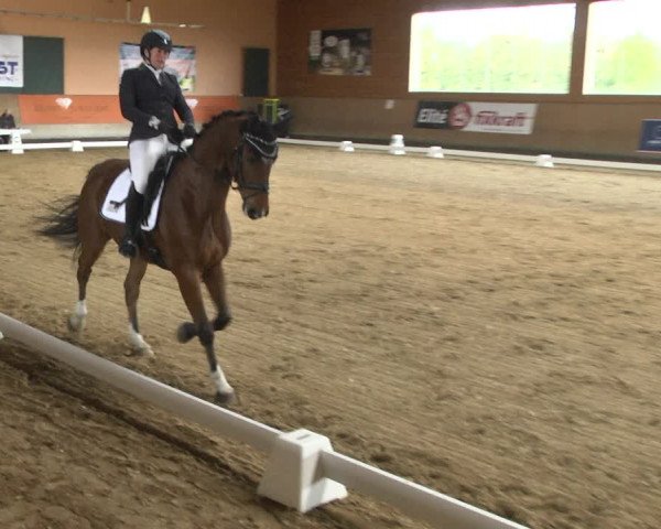 Reitturnier Gut Winkelacker/Obb. 2020