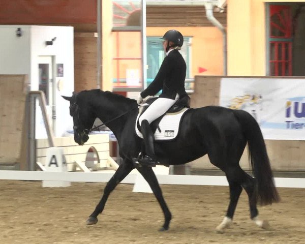 Reitturnier Gut Winkelacker/Obb. 2020