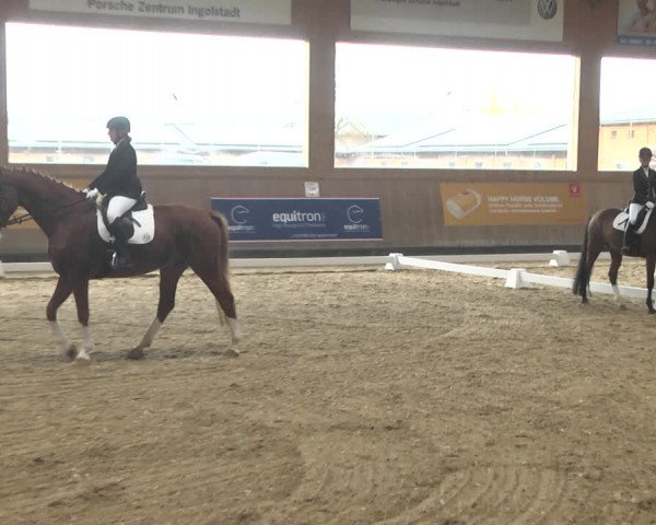 Reitturnier Gut Winkelacker/Obb. 2020