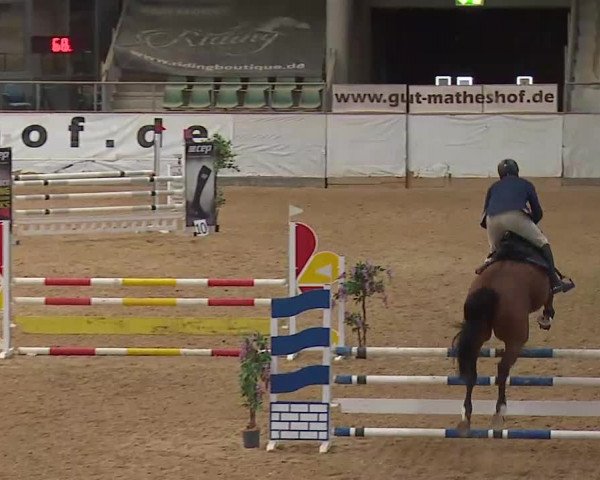 Reitturnier Kreuth/Opf. 2020