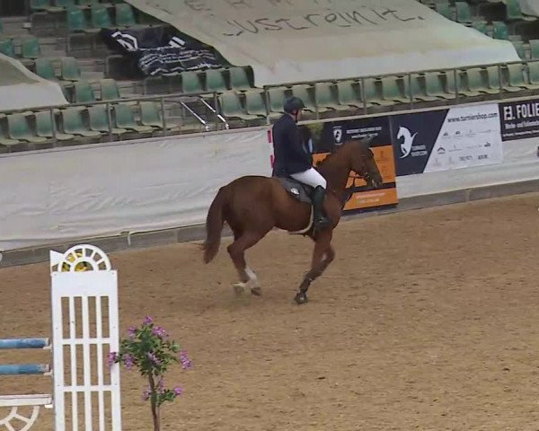 Reitturnier Kreuth/Opf. 2020