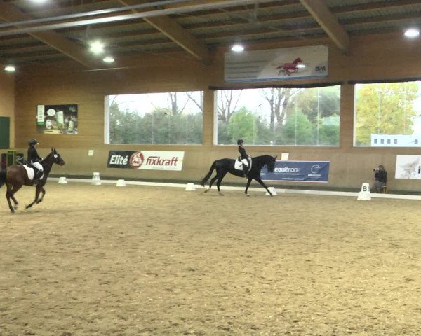 Reitturnier Gut Winkelacker/Obb. 2020