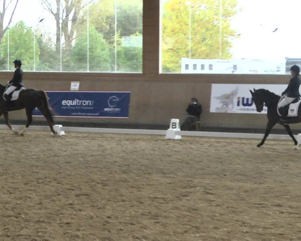 Reitturnier Gut Winkelacker/Obb. 2020