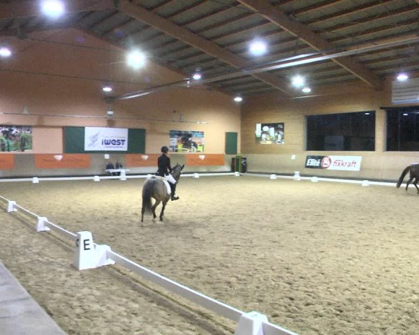 Reitturnier Gut Winkelacker/Obb. 2020