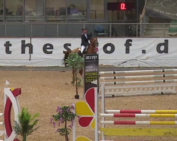 Reitturnier Kreuth/Opf. 2020