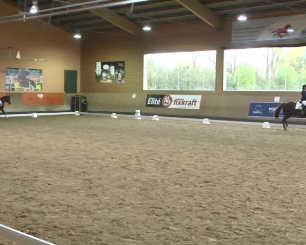Reitturnier Gut Winkelacker/Obb. 2020