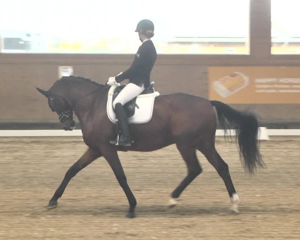 Reitturnier Gut Winkelacker/Obb. 2020