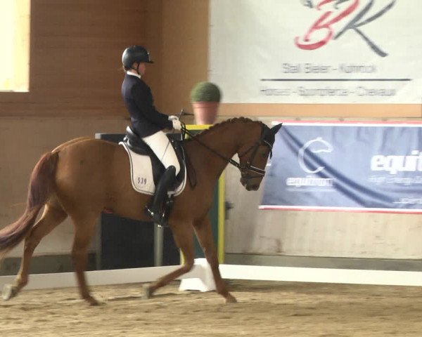 Reitturnier Gut Winkelacker/Obb. 2020