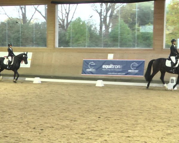 Reitturnier Gut Winkelacker/Obb. 2020