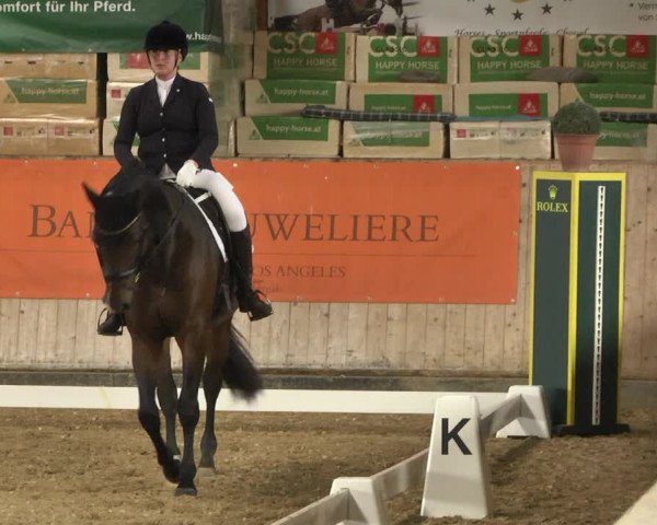Reitturnier Gut Winkelacker/Obb. 2020