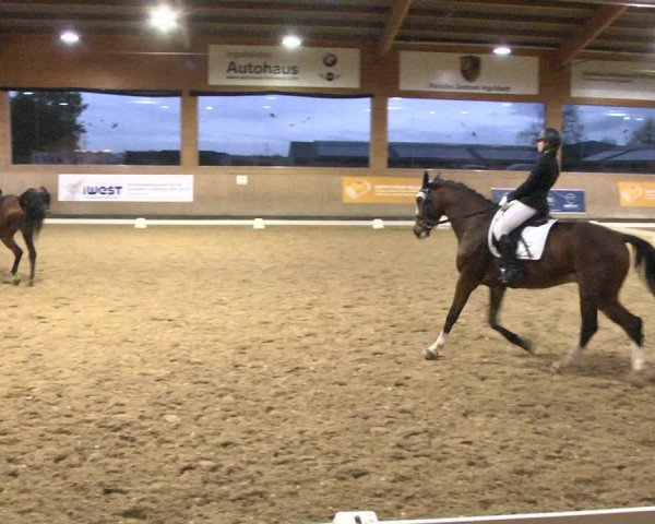 Reitturnier Gut Winkelacker/Obb. 2020