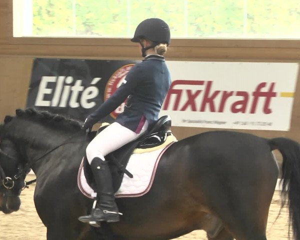 Reitturnier Gut Winkelacker/Obb. 2020