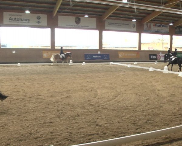 Reitturnier Gut Winkelacker/Obb. 2020