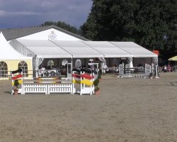 broodmare Charcolle Z (Zangersheide riding horse, 2007, from Caritano Z)