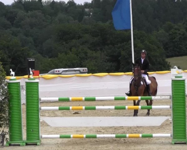 Springpferd Landliebe 50 (Holsteiner, 2007, von Locato)