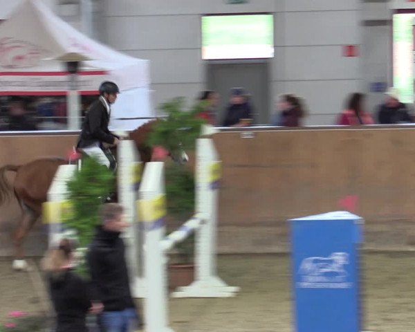 Reitturnier Prussendorf 2020