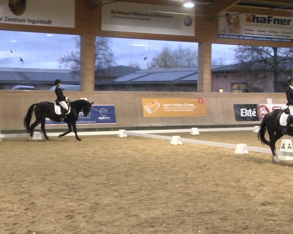 Reitturnier Gut Winkelacker/Obb. 2020