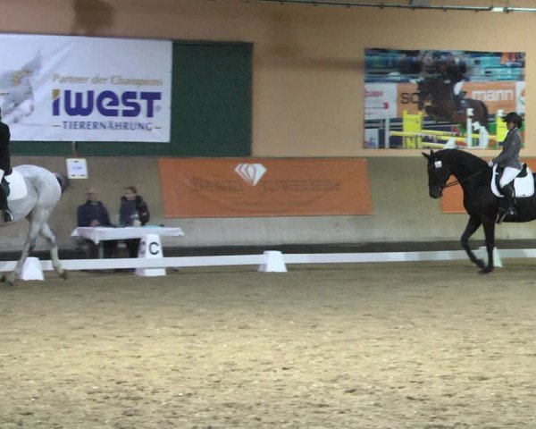 Reitturnier Gut Winkelacker/Obb. 2020