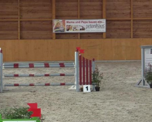 Springpferd Baltimore 69 (Oldenburger Springpferd, 2007, von Balou du Rouet) Springpferd Baltimore 69 (Oldenburger Springpferd, 2007, von Balou du Rouet)