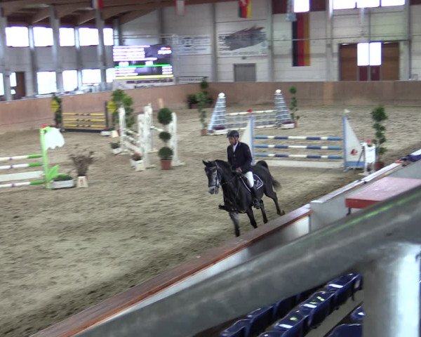 Reitturnier Prussendorf 2020