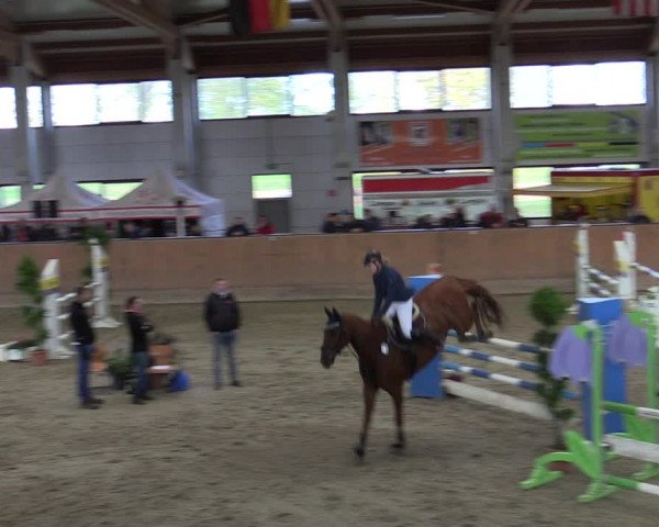 Reitturnier Prussendorf 2020