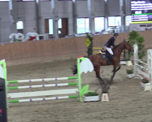 Reitturnier Prussendorf 2020