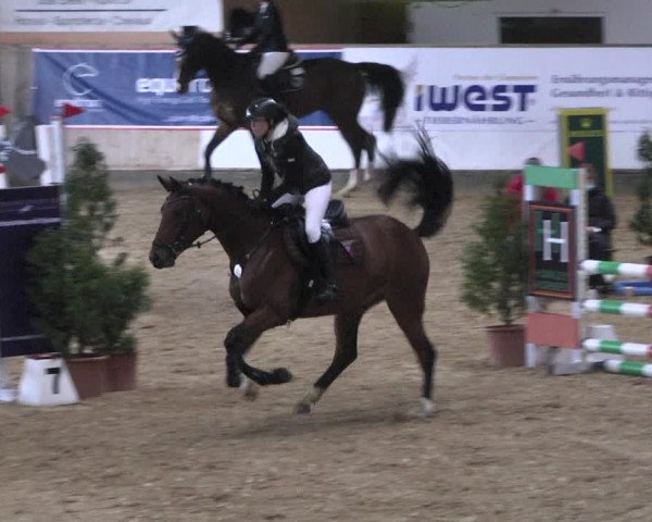 Reitturnier Gut Winkelacker/Obb. 2020