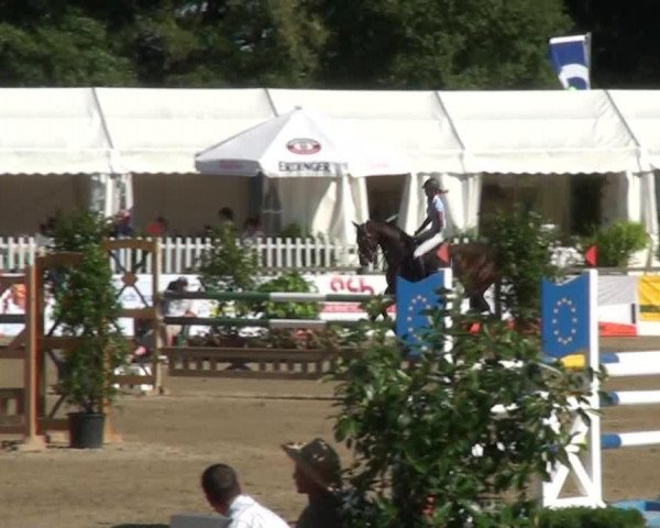 Springpferd Silas (Westfale, 2007, von Stalypso)