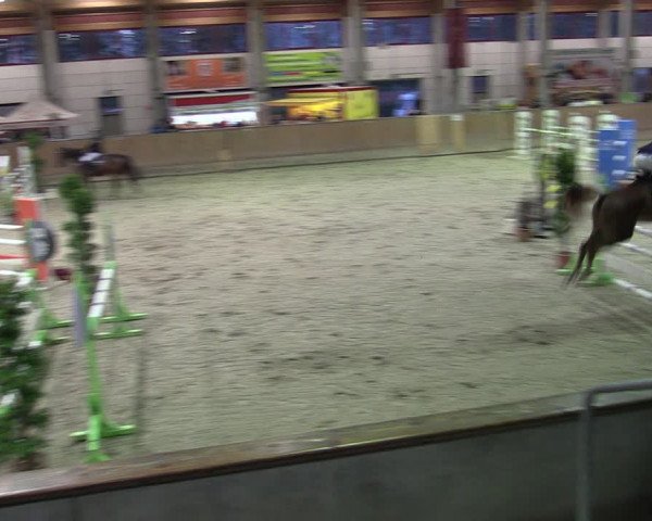 Reitturnier Prussendorf 2020