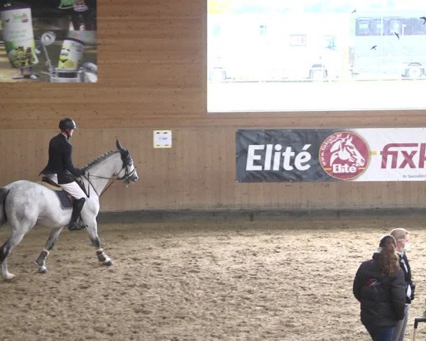 Reitturnier Gut Winkelacker/Obb. 2020