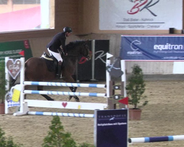 Reitturnier Gut Winkelacker/Obb. 2020