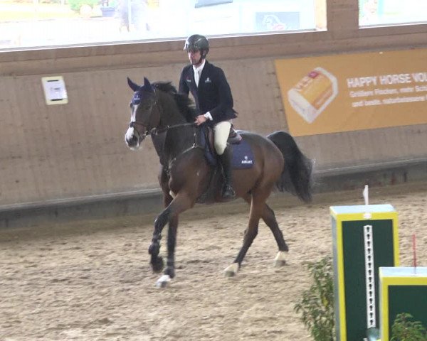 Reitturnier Gut Winkelacker/Obb. 2020