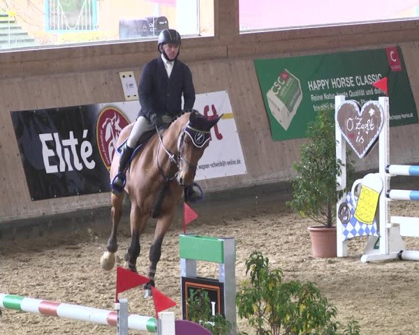 Reitturnier Gut Winkelacker/Obb. 2020