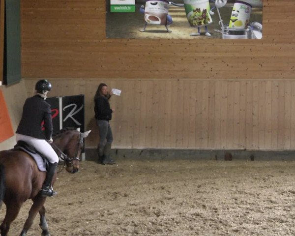 Reitturnier Gut Winkelacker/Obb. 2020
