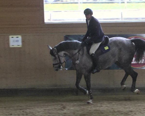 Reitturnier Gut Winkelacker/Obb. 2020
