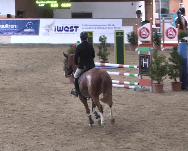 Reitturnier Gut Winkelacker/Obb. 2020