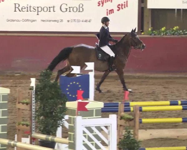jumper Corona 116 (Württemberger, 2009, from Coronas 2)