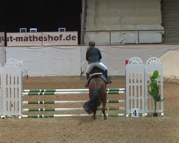 Reitturnier Kreuth/Opf. 2020