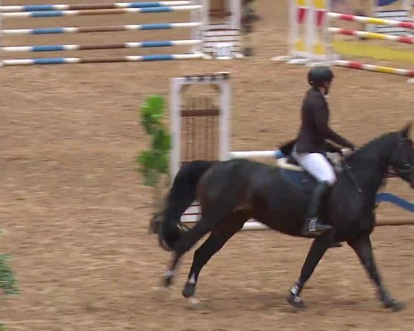 Reitturnier Kreuth/Opf. 2020