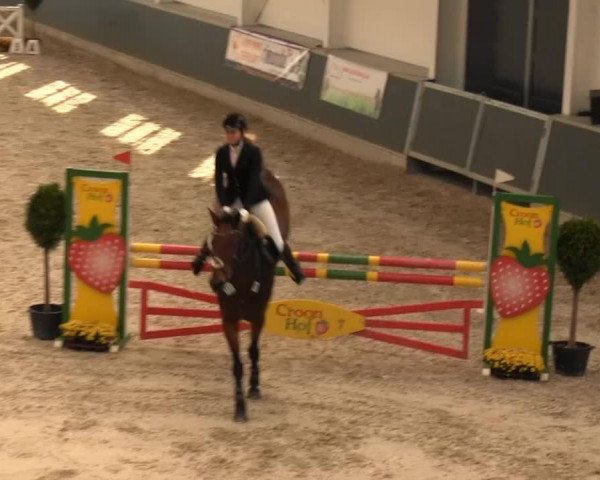 jumper Eastwood 20 (Hanoverian, 2004, from El Bundy)